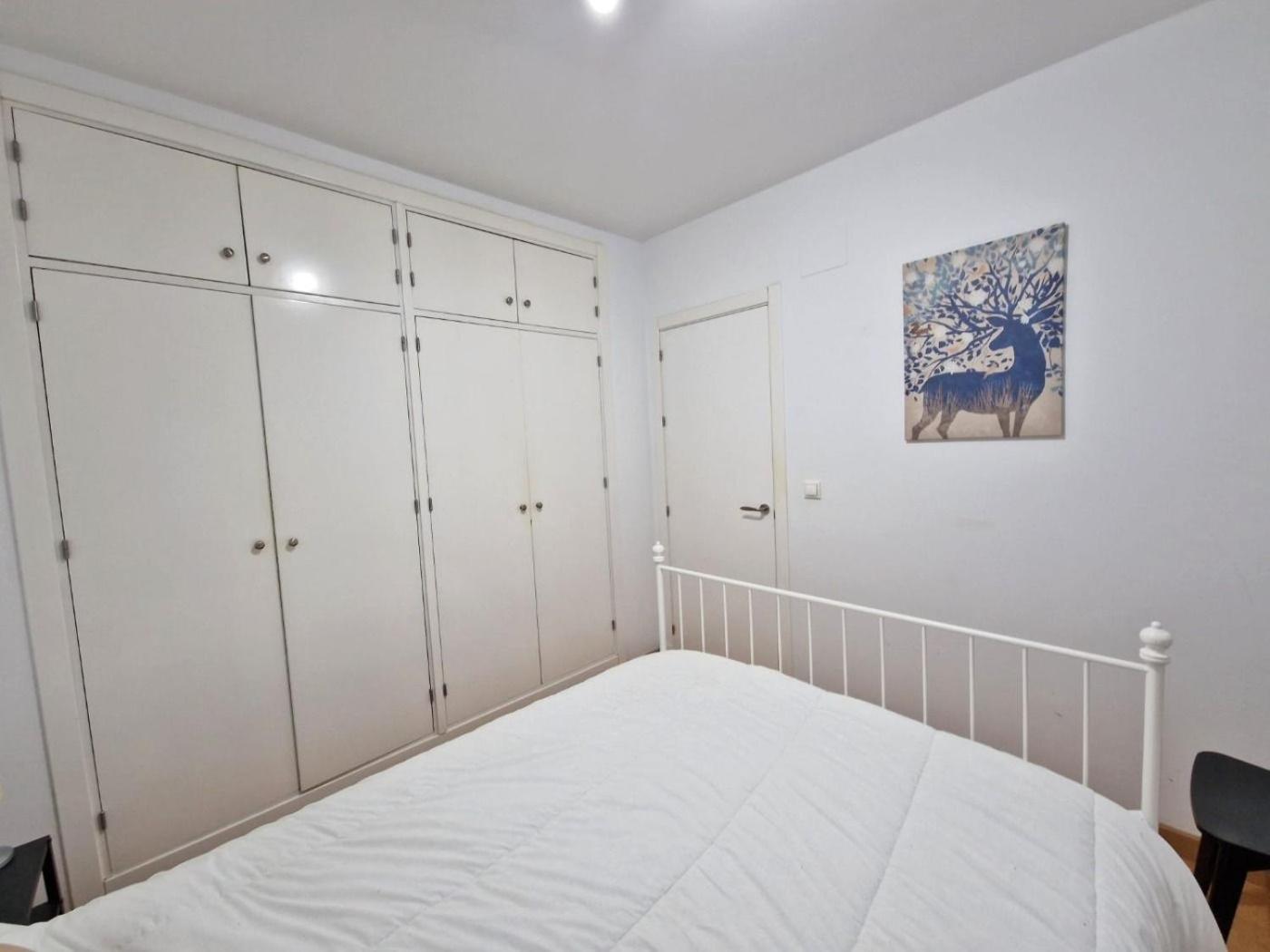 Cdz - San Telmo, Apartamentos Con Terraza Cadiz Dış mekan fotoğraf